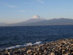 西伊豆歩道大瀬崎コースの写真のサムネイル写真16