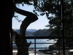 天窓洞茶屋 松丸の写真のサムネイル写真1