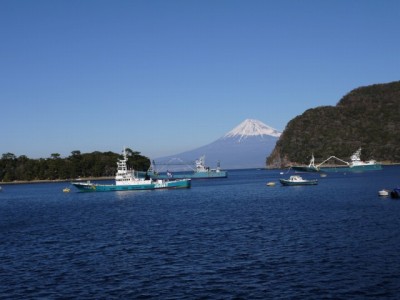 富士見海岸通りの写真