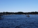 富士見海岸通りの写真のサムネイル写真3