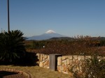 中伊豆ワイナリーヒルズの写真のサムネイル写真5