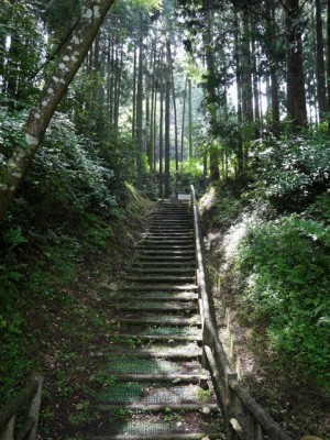 山中城跡公園の写真5