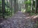 山中城跡公園の写真のサムネイル写真5