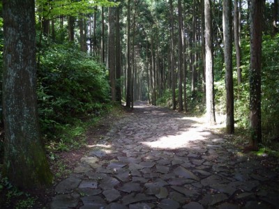 山中城跡公園の写真7