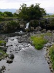 鮎壷公園の写真のサムネイル写真4