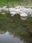 鮎壷公園の写真のサムネイル写真8