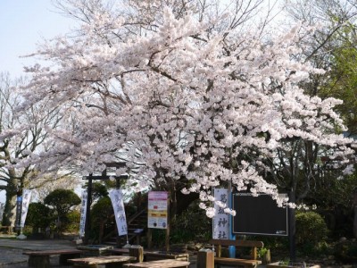 伊豆の国　パノラマパークの写真40