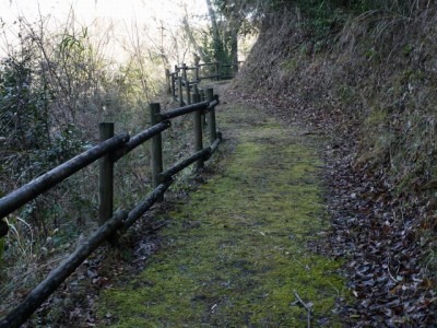 狩野城跡の写真5