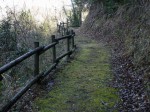 狩野城跡の写真のサムネイル写真4