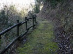 狩野城跡の写真のサムネイル写真4