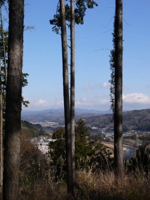 狩野城跡の写真10