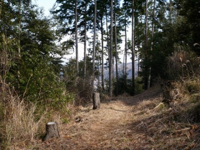 狩野城跡の写真13