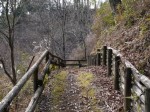 狩野城跡の写真のサムネイル写真14