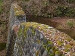 狩野城跡の写真のサムネイル写真20