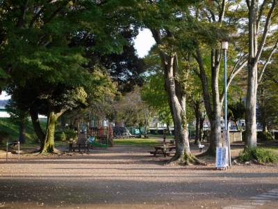 狩野川記念公園の写真7