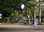 狩野川記念公園の写真のサムネイル写真6