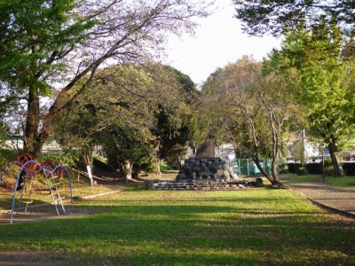 狩野川記念公園の写真10