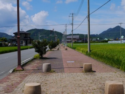 蛭ヶ島公園（蛭ヶ島茶屋）の写真7