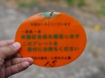 小坂みかん共同農園の写真のサムネイル写真15