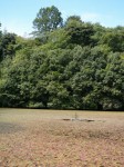 小坂清水池親水公園の写真のサムネイル写真2