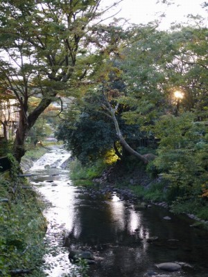 修善寺温泉の写真10