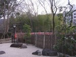 赤蛙公園の写真のサムネイル写真5