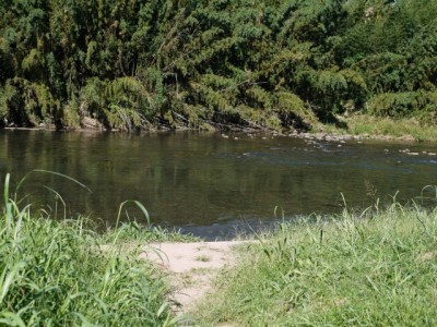 狩野川さくら公園の写真3