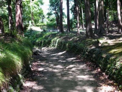 韮山城跡の写真3