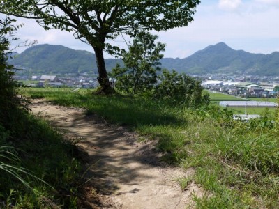 韮山城跡の写真12