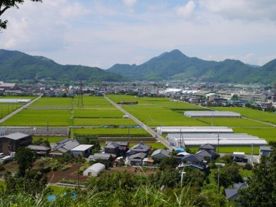 韮山城跡の写真15