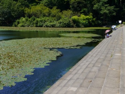 城池親水公園の写真