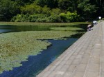 城池親水公園の写真のサムネイル写真1