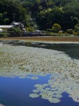 城池親水公園の写真のサムネイル写真3