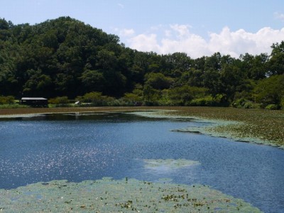 城池親水公園の写真5