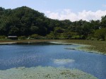 城池親水公園の写真のサムネイル写真4