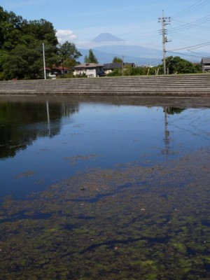 城池親水公園の写真8