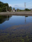 城池親水公園の写真のサムネイル写真7