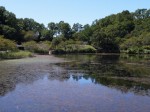 城池親水公園の写真のサムネイル写真8