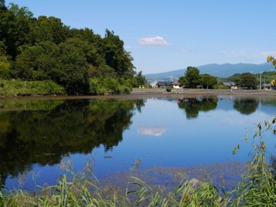 城池親水公園の写真18