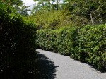 江川邸の写真のサムネイル写真3