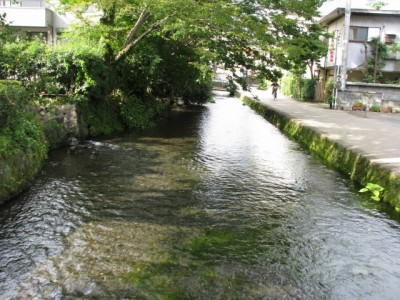 三島駅の写真11