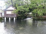 三島駅の写真のサムネイル写真12