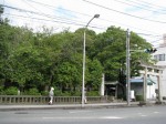 三島駅の写真のサムネイル写真17