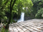 浄蓮の滝の写真のサムネイル写真7