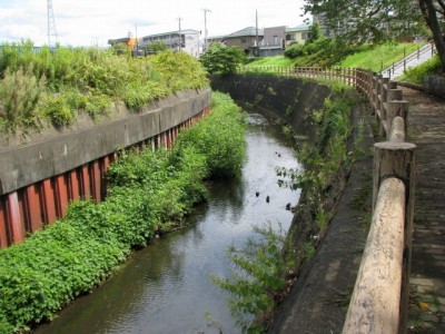 門池公園の写真5