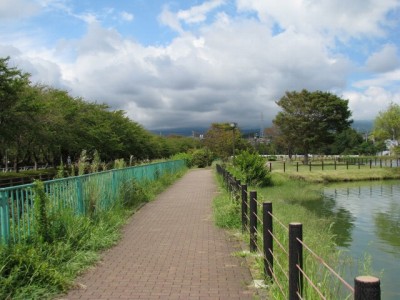 門池公園の写真8