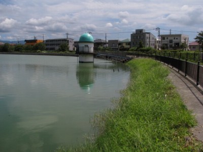 門池公園の写真10