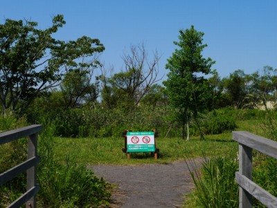 浮島ヶ原自然公園の写真
