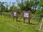 浮島ヶ原自然公園の写真のサムネイル写真3