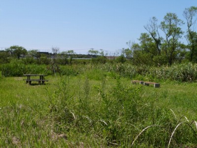 浮島ヶ原自然公園の写真5